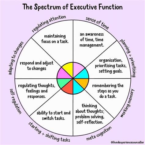 Sonny Jane Wise 🌈 ☀️ on Instagram: “THE SPECTRUM OF EXECUTIVE FUNCTION ...