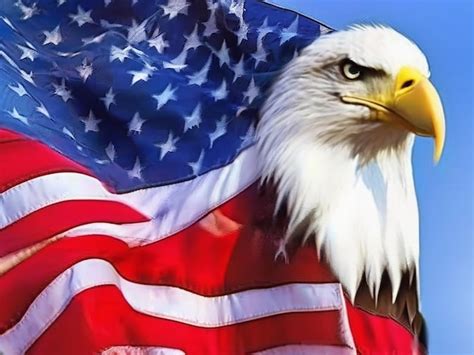 American Symbols 的图像结果