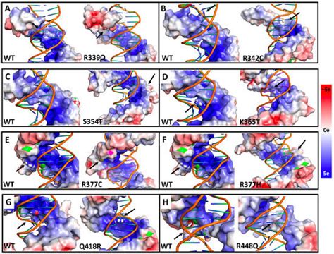 IJMS | Special Issue : Applications of Computational Modeling in ...