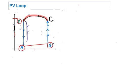 Physiology Flashcards | Quizlet