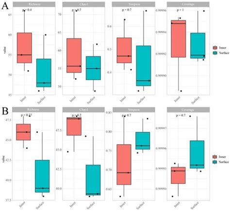 The Volatile Flavor Substances, Microbial Diversity, and Their ...