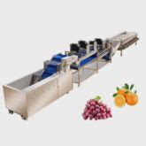 Used Blueberry Sorting for sale. Kato equipment & more | Machinio