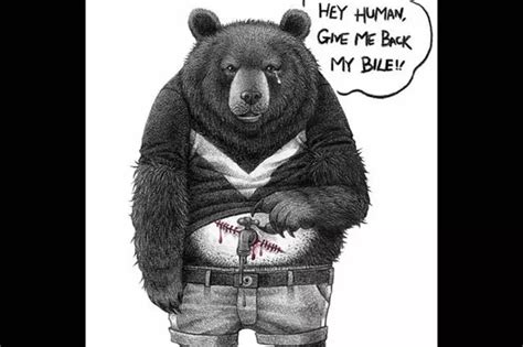 A Startling & Thought-Provoking Series On Animal Abuse Will Put Humans ...