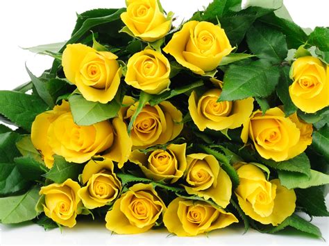 Wallpaper A bouquet flowers, yellow roses 2560x1440 QHD Picture, Image