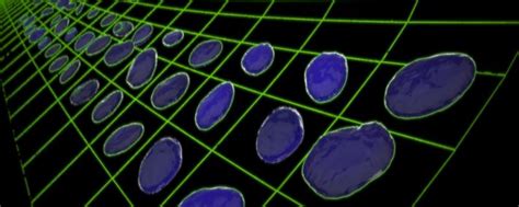 Cells | Research Matters