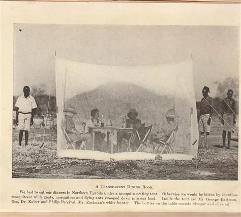 Lion African Adventure With The King Of Beasts by Johnson, Martin; Osa ...