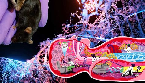 Image result for Define Genetic Engineering