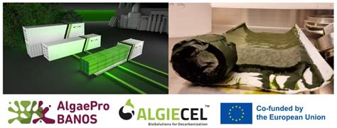 EU HORIZON GRANT FOR #ALGIECEL!! - ALGIECEL