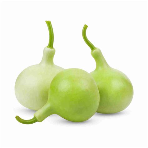 Buy Bottle Gourd Round Seeds Online | Garden Supply – Vedonic