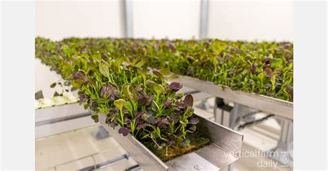 Image result for Plan Less