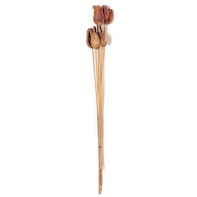 18" Natural Botanical Benzo Fruit Slice Bunch, 4ct. | Michaels