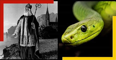 টাইটনিকের থেকেও বড় Icon of the Seas ডুবে যাবে? ছড়াচ্ছে ভয় - icon of ...