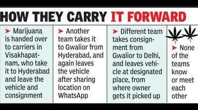 City part of marijuana mafia’s ‘golden corridor’ from Vizag to Delhi ...