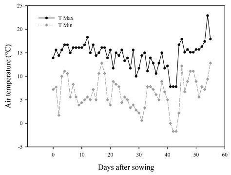 Effect of Vegetal- and Seaweed Extract-Based Biostimulants on ...