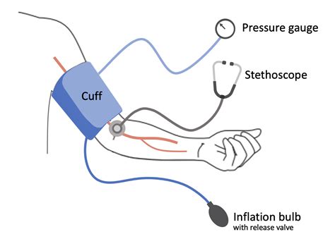 Blood pressure | Acoustics Lab, University of Cambridge