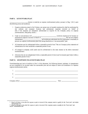 75+ Free Editable Accountable Plan Templates in MS Word [DOC] | pdfFiller