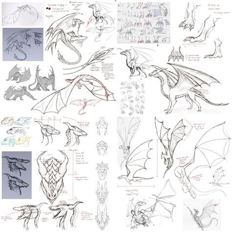 Anatomy of Dragons: Different Types of Dragon Wings and Designs