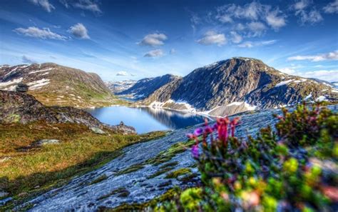 Spring Nature Scenery 的图像结果