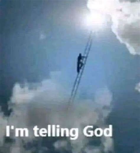 Your Avatar Reacts to the Above Image - TV Tropes Forum