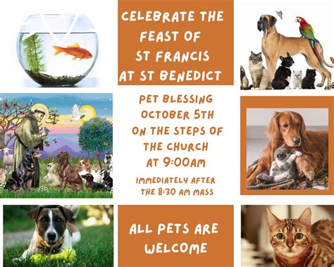 Celebrate the Feast Day of St. Francis at the Pet Blessing — St ...
