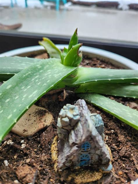 Apostle Islands Vacation Rentals & Homes - Wisconsin, United States ...