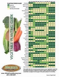 Image result for Vegetable Planting Guide