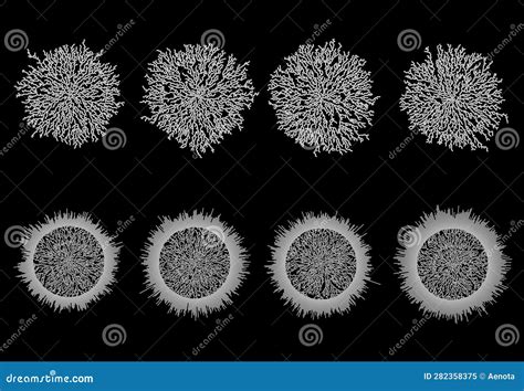 Diffusion Limited Stock Illustrations – 7 Diffusion Limited Stock Illustrations, Vectors ...