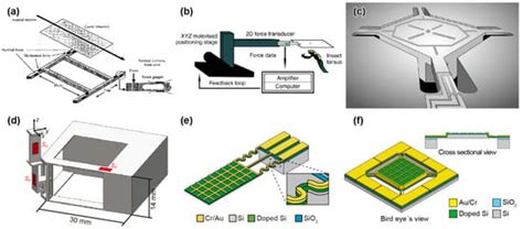 MEMS-Based Micro Sensors for Measuring the Tiny Forces Acting on Insects
