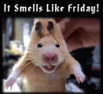 Happy Friday Funny GIFs | GIFDB.com