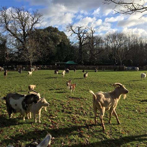 THE BEST Places to Visit in Boughton Monchelsea (2026)