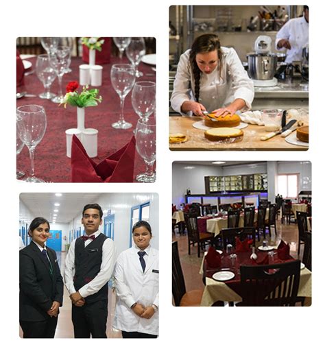 SRM University Delhi-NCR, Sonepat : Best Hotel Management Colleges in ...