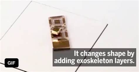 Origami Transformer Optimus Prime 的图像结果