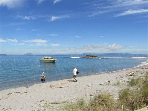 Moutohora Island Sanctuary (Whale Island) - Day Tour (Whakatane) - 2022 ...