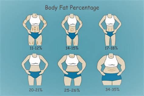 How Body Fat Percentage Actually Look Like | by Fitness Hub | Medium
