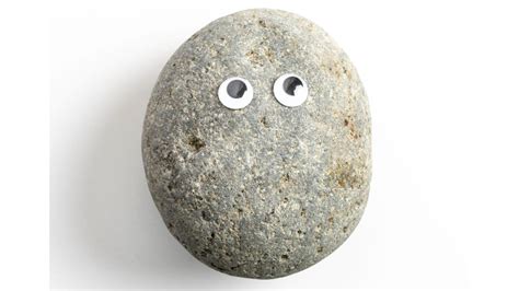 National Pet Rock Day 2023 (US): Date, History, Significance, Facts