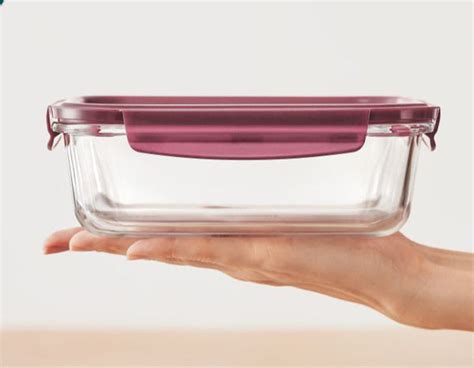 Lunch Box and Buy Tiffin Boxes Online - Tupperware India Pvt Ltd