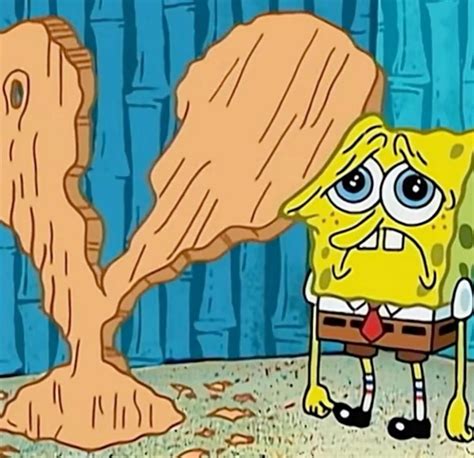 SpongeBob | Spongebob funny pictures, Spongebob, Spongebob memes