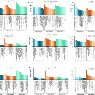 Image result for Go Annotation Analysis Step