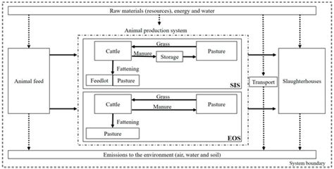 Environmental Impacts of the Beef Production Chain in the Northeast of ...