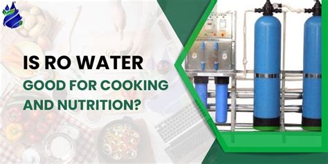 The Pros and Cons of Cooking with RO Water for Optimal Nutrition