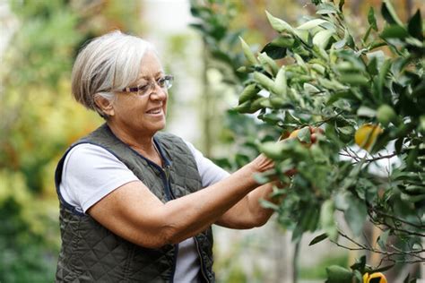 Free Retirement 的图像结果