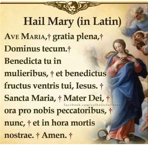 Hail Mary In Latin Printable - Educational Printable Worksheets