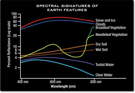 Light 的图像结果