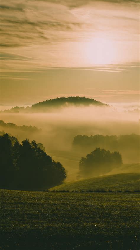 Download wallpaper 2160x3840 hills, fog, meadow, trees, landscape ...
