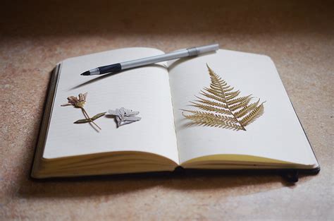 Image result for First Counselling Session Structure