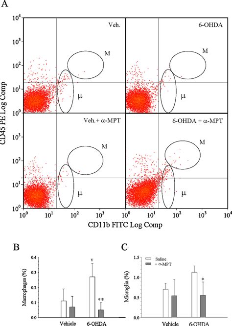 Image result for Flow Cytometry of Microglia Videotutorial