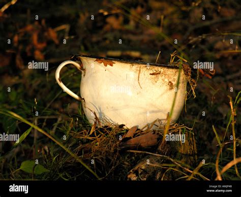 Image result for Using Old Chamber Pot