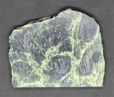 Lapidary Slabs 的图像结果