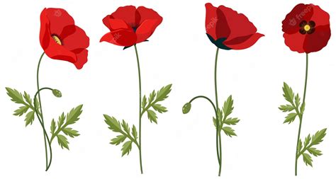 Poppy Flowers – Free Clipart #3215871 | Clipart Library