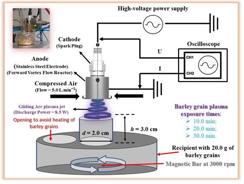 Effect of Gliding Arc Plasma Jet on the Mycobiota and Deoxynivalenol ...
